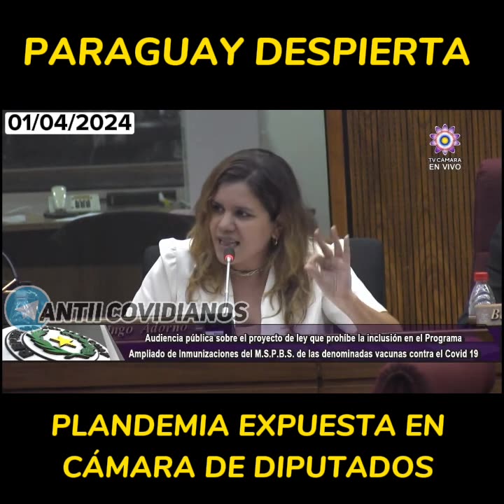 Cámara de Diputados del Paraguay 01 de Abril 2024