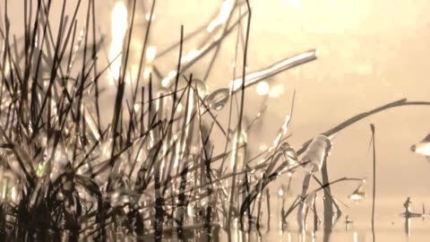 The Most Beautiful "Amazing Grace" I've ever heard.