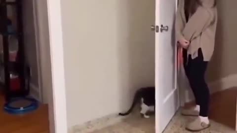 Cat 1-0 human 😻🥹