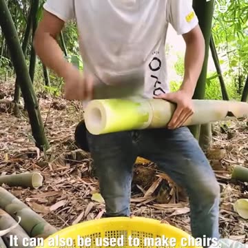 Satisfying bamboo cutting!.hd