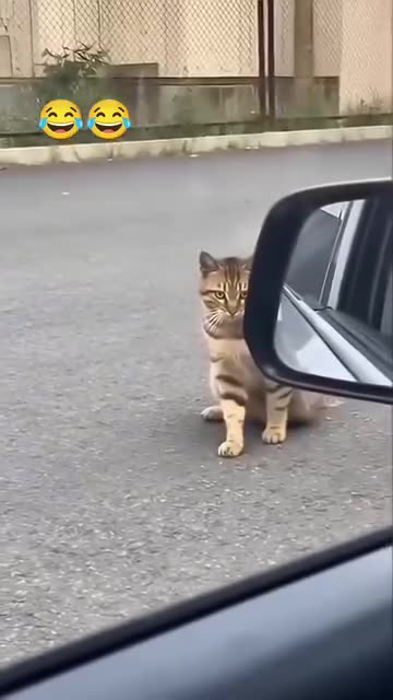 😂😂😂😂#funnymeme #funny #comedy #comedyvideos #viralre