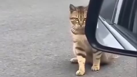 😂😂😂😂#funnymeme #funny #comedy #comedyvideos #viralre