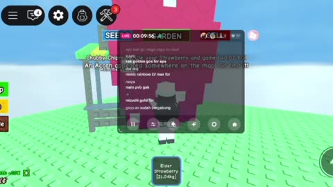 I Built a Million-Dollar Garden in Roblox!