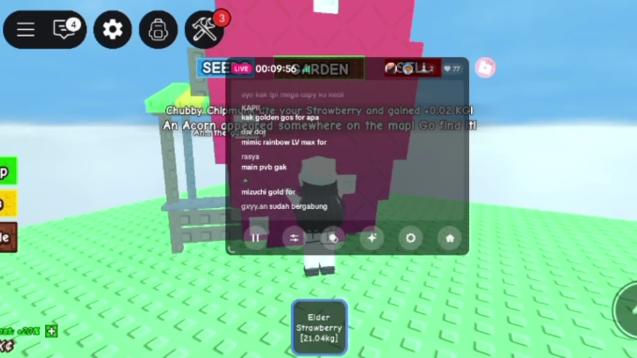 I Built a Million-Dollar Garden in Roblox!