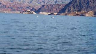 Hangin' with the Worms along the Wild Colorado