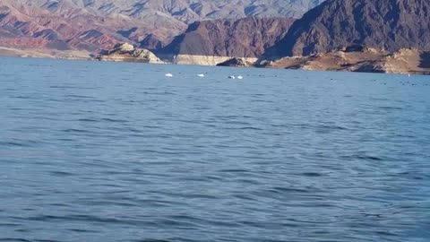 Hangin' with the Worms along the Wild Colorado