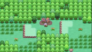 Pokemon Rainbow Gold - NDS ROM Hack, 493 catchable pokemon, kris mode, mythical events