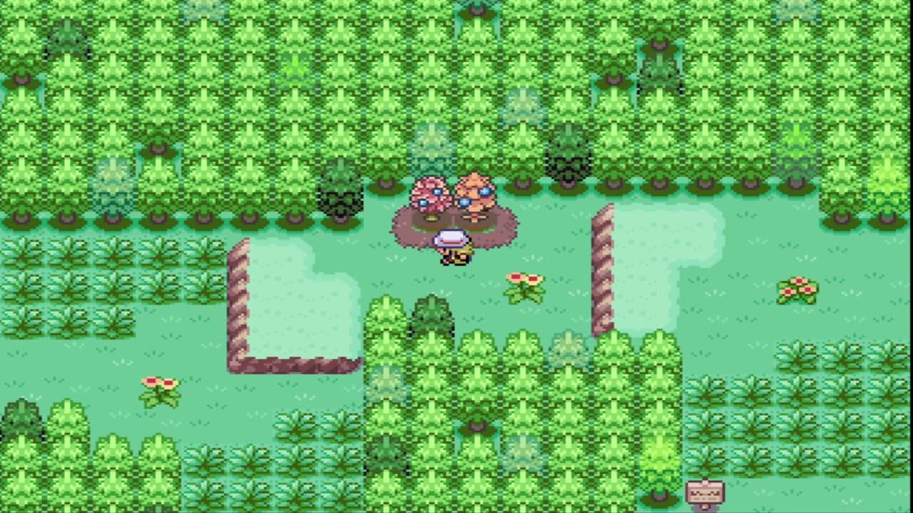 Pokemon Rainbow Gold - NDS ROM Hack, 493 catchable pokemon, kris mode, mythical events