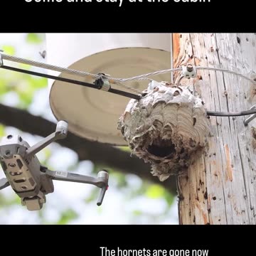 Технология