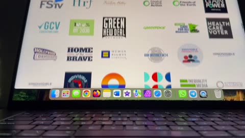 No Kings Rally Participants