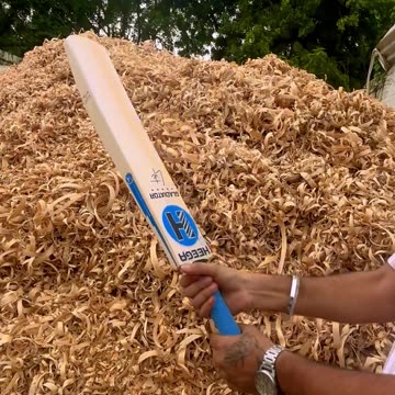 Heega Gladiator Lite Premium Grade 1 Kashmir Willow Cricket Bat – Lightweight, Balance. Performance.