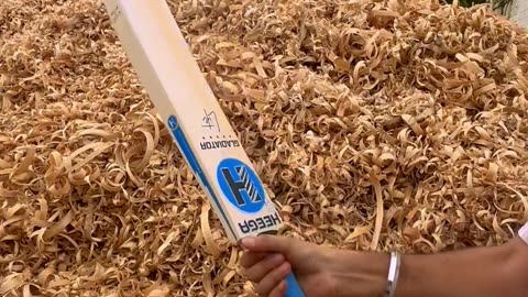 Heega Gladiator Lite Premium Grade 1 Kashmir Willow Cricket Bat – Lightweight, Balance. Performance.