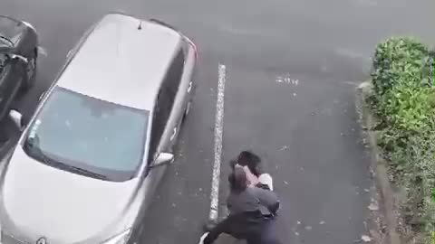 2 Thieves try to steal a car, but the owner arrives and..