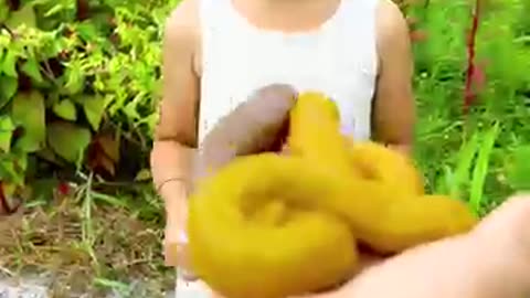Viral: Cutest Video Ever Funny Moments #comedy