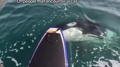 😂🤪 And I Would Be the Second Guy! | FunFM