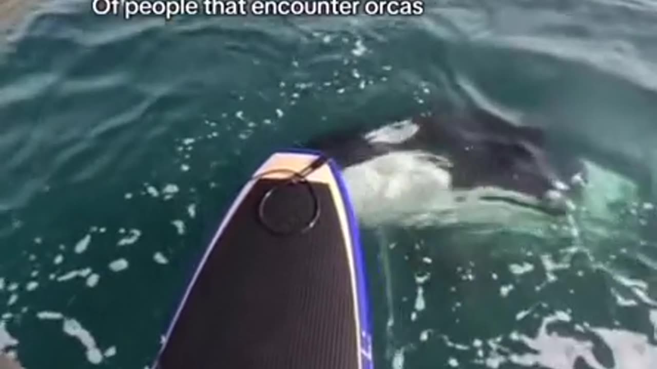 😂🤪 And I Would Be the Second Guy! | FunFM