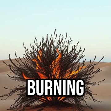 Moses and the Burning Bush.