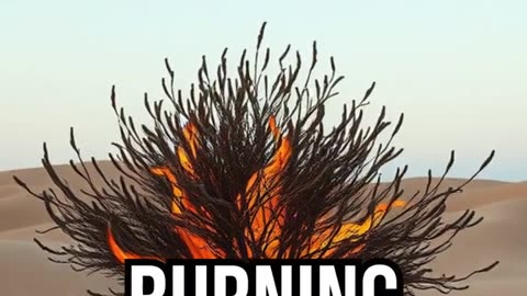 Moses and the Burning Bush.