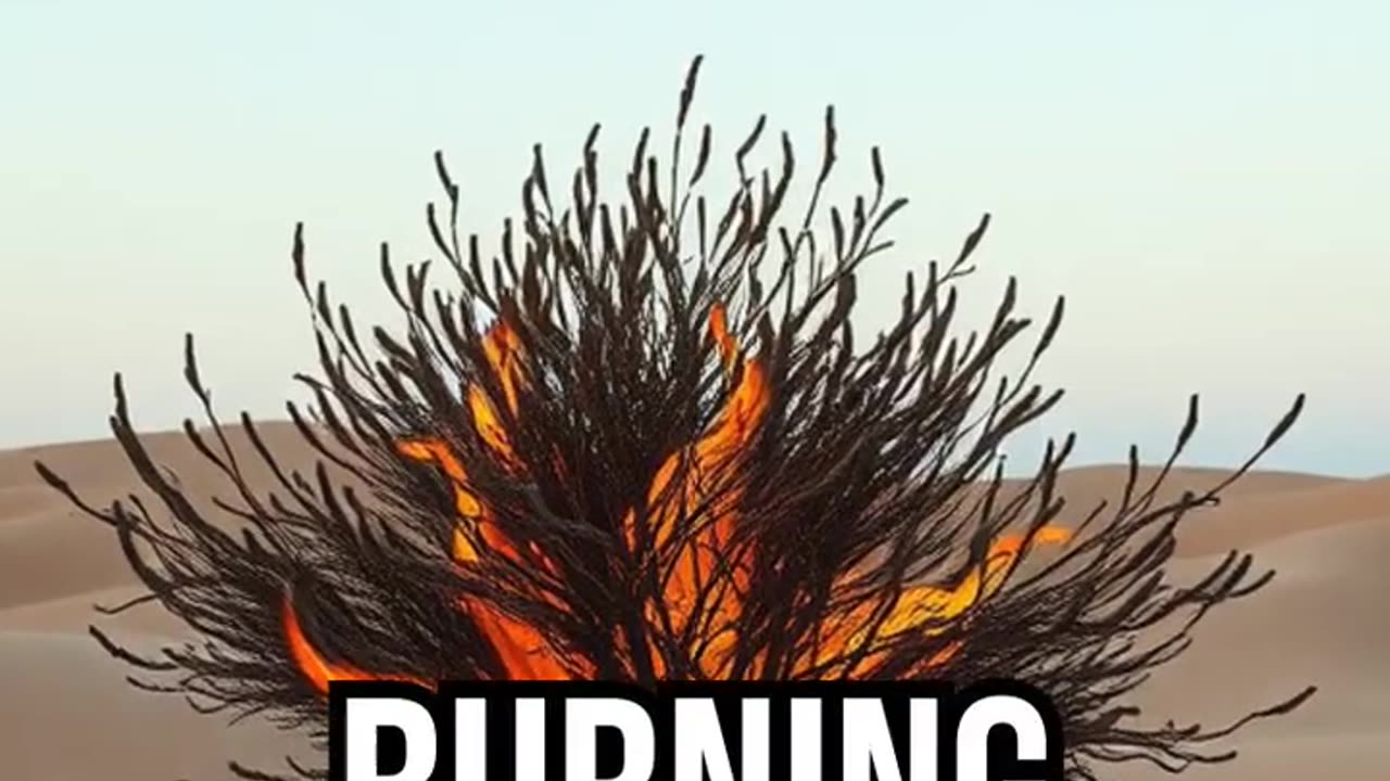 Moses and the Burning Bush.