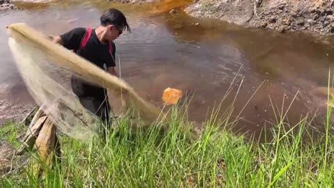 Exploring the Swamp | Finding Fish in Their Natural Nest