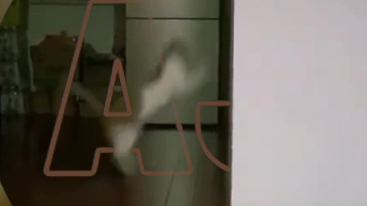 Funny video of