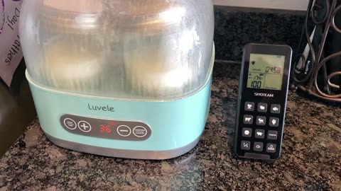 L. Reuteri Yogurt Without Half & Half + TEMPERATURE TEST +