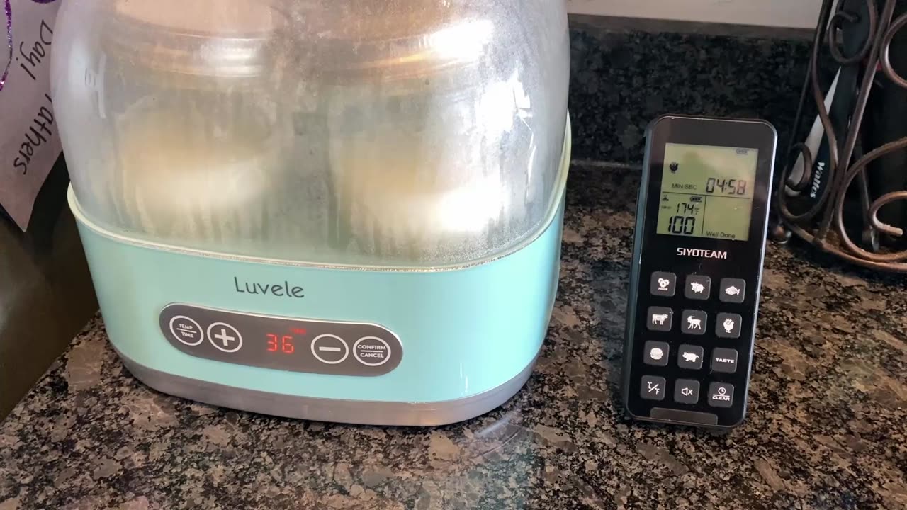 L. Reuteri Yogurt Without Half & Half + TEMPERATURE TEST +