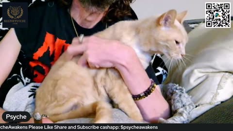 11/05/25 Psyche Awakens VOD: "Kult of Psyche Returns Open Panel Tarot and Cats"