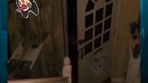 ⚠️👽 Skinwalker Breaking In? You Won't Believe This Footage! Skinwalker | TheHauntingHour