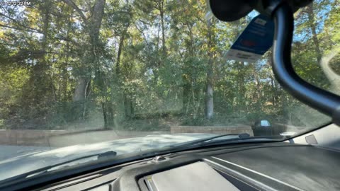 Rescued Abandon Dog | War With CX Has Begun | Backs To Be Broken 😡