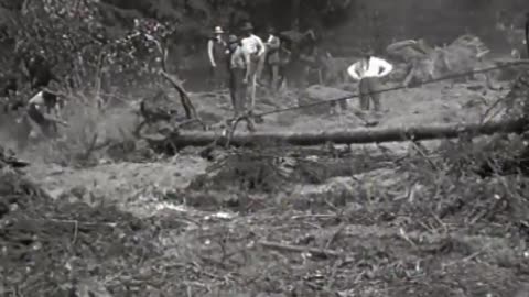 Ford Tractor Aerial V... - Ford Tractor Aerial View of Brazilian Colonies and Jungle - fc-fc-1492a-b