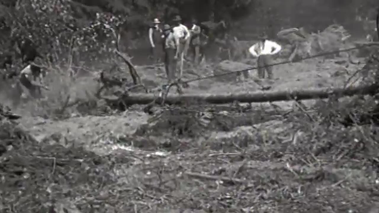 Ford Tractor Aerial V... - Ford Tractor Aerial View of Brazilian Colonies and Jungle - fc-fc-1492a-b