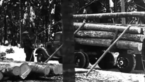 [LUMBERING] - [LUMBERING] - fc-fc-4215