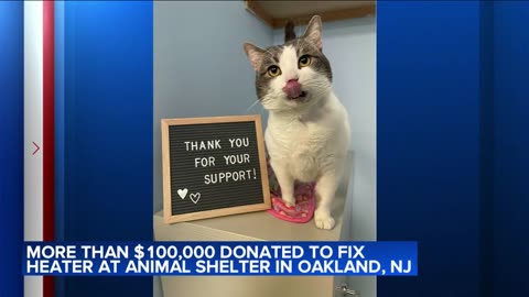 More than $100K donated to fix heater at animal shelter in Oakland, NJ