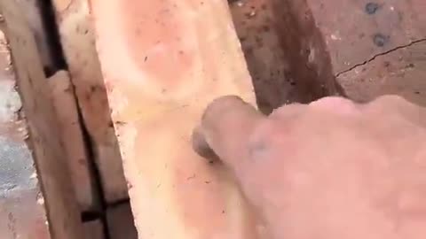 🚨LABOUR ARE BUILDING HOUSES ON THE CHEAP