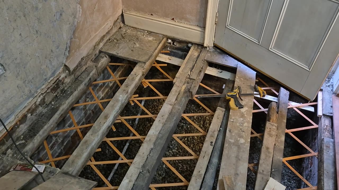 Lattice install Sheeps wool