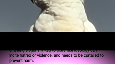 NSW Proposed Law on Banning "Ideas" #auslaw