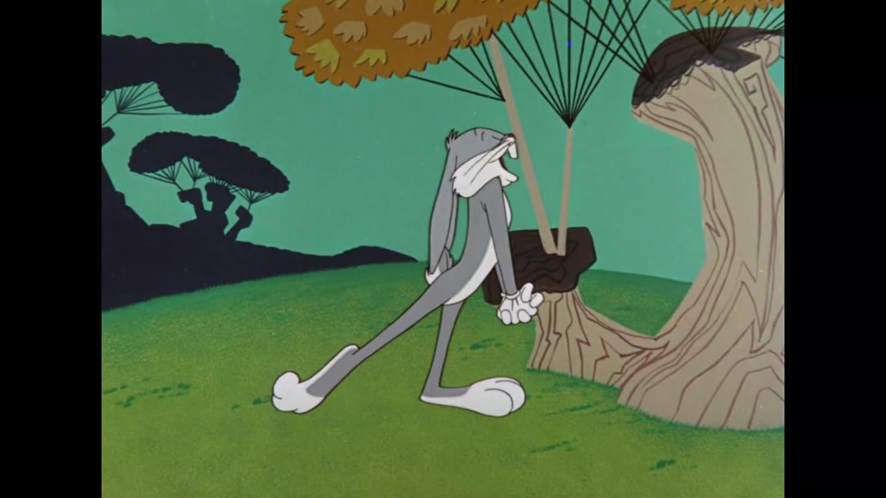 "The Bugs Bunny Road Runner Movie"