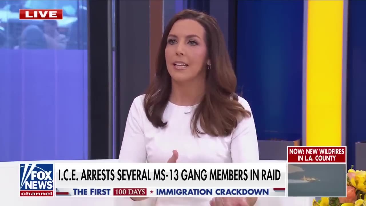 Criminal migrant LASHES OUT during ICE arrest: 'F--- Trump!'