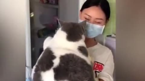 Funny Animal Videos 2023 🤣 - Best Funny Dog and Cat Videos 2023 | Freaky_Things