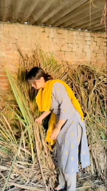 Abaan phir fail ho gya