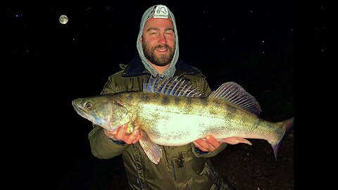 Fishing for Zander (Sander Lucioperca) Bulgaria