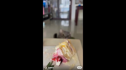 Hungry