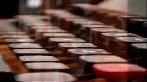 The Tunnell Take. The jews in their own words!