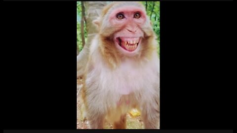 #funny viral