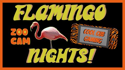 🦩 FLAMINGO NIGHTS ZOO CAM LIVE STREAM RUMBLE EXCLUSIVE 🦩
