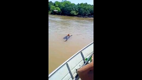 Fishermen rescue drowning monkey