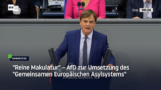 "Reine Makulatur" – AfD zur Umsetzung des "Gemein­samen Europäischen Asylsystems"
