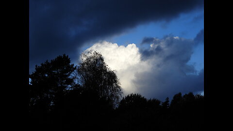 Professor den feta GW.Persson