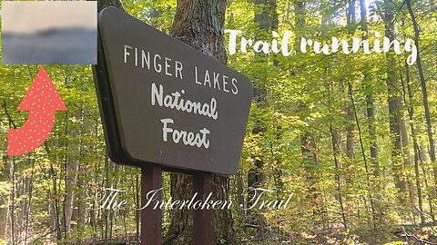 You won't believe the views I saw on the Interloken trail